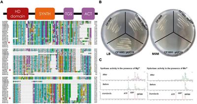 Identification of a RelA/SpoT Homolog and Its Possible Role in the Accumulation of Astaxanthin in Haematococcus pluvialis